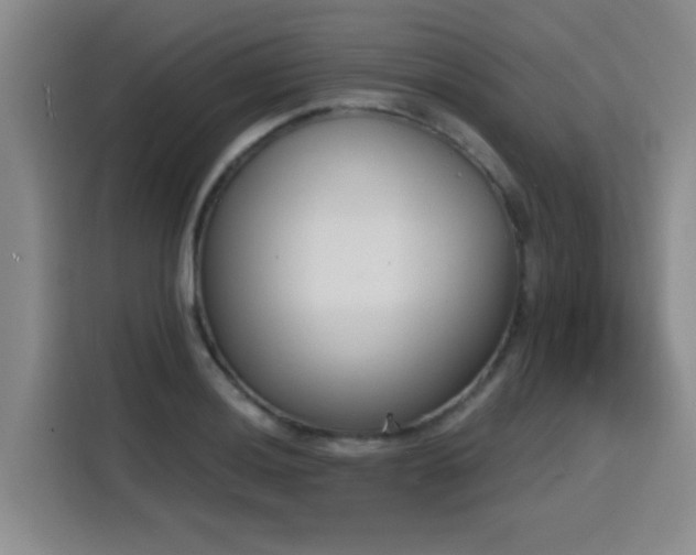 X0000116151036200911231327