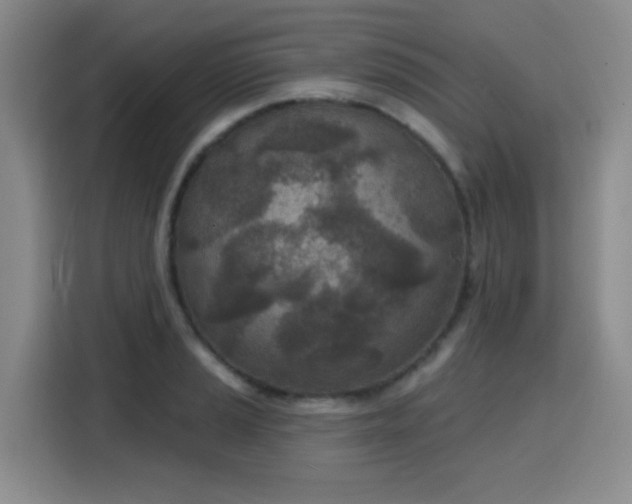 X0000116151037200911231327