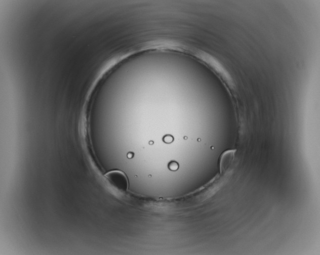 X0000116151040200911231327