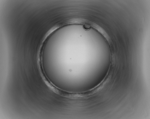 X0000116151042200911231327