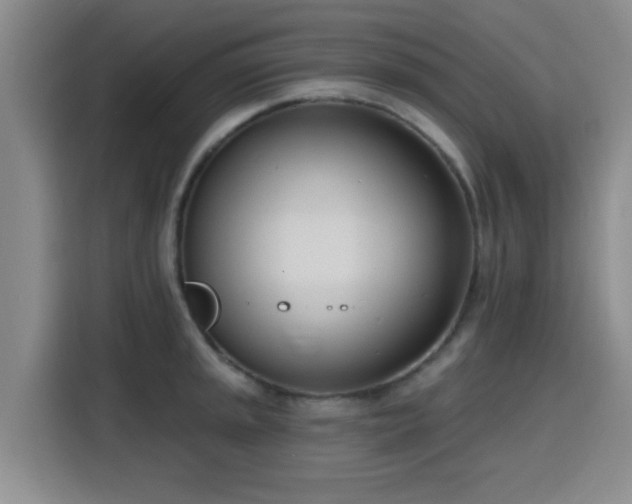 X0000116151045200911231327