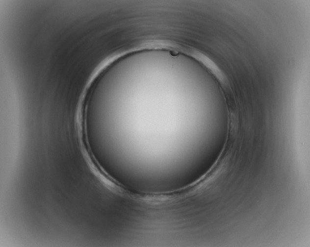 X0000116151046200911231327