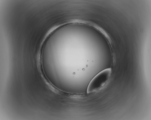 X0000116151048200911231327