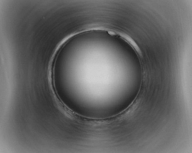 X0000116151051200911231327