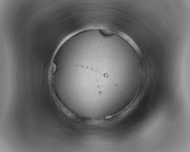 X0000116151052200911231327