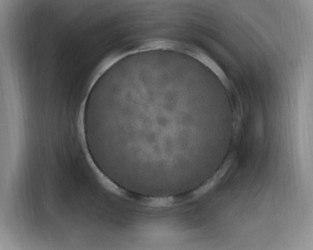 X0000116151055200911231327