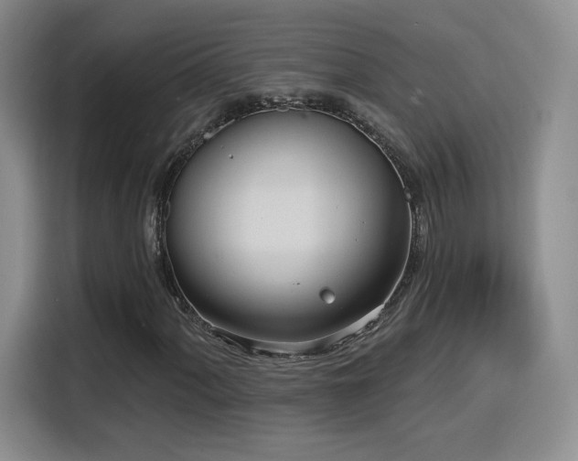 X0000116151060200911231327