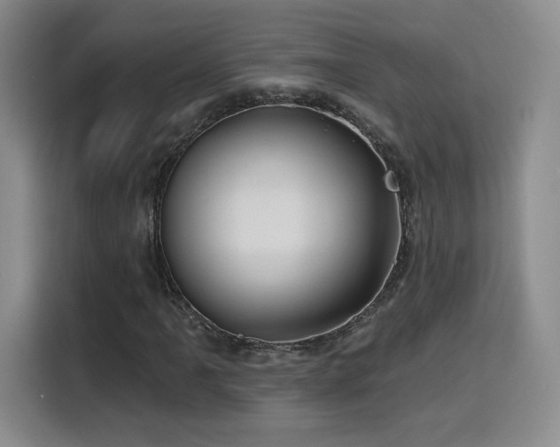 X0000116151061200911231327