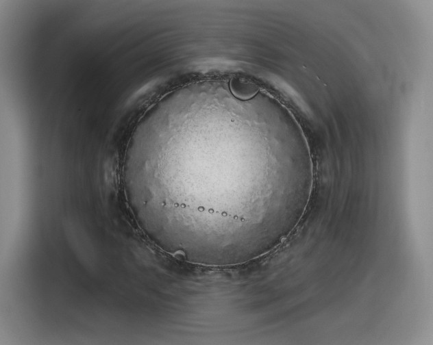 X0000116151063200911231327