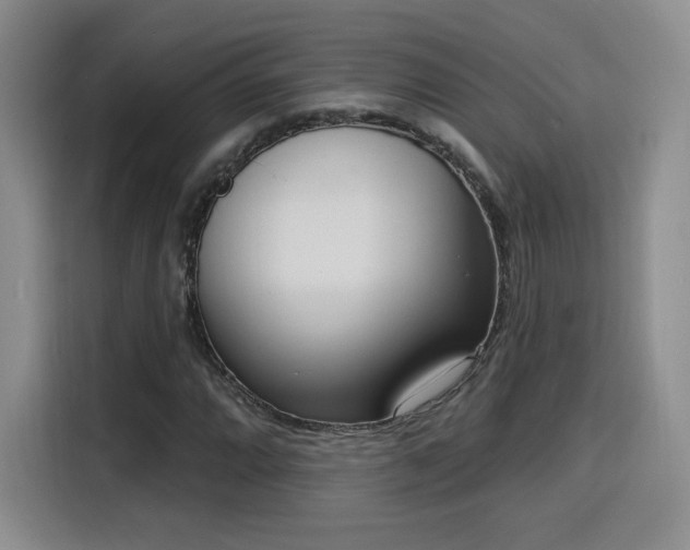 X0000116151064200911231327