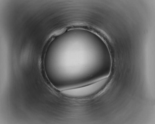 X0000116151065200911231327