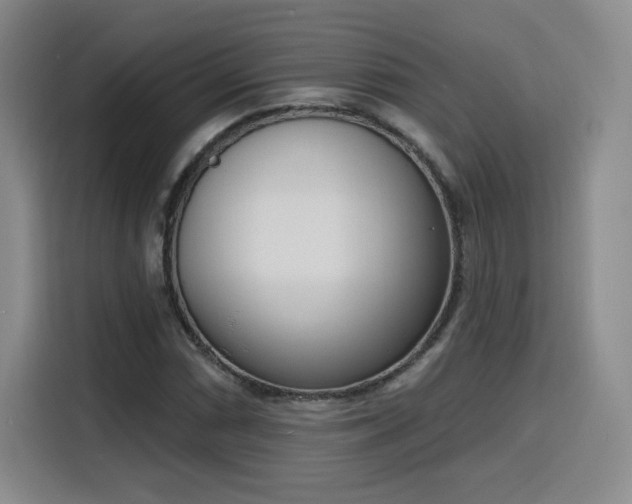 X0000116151066200911231327