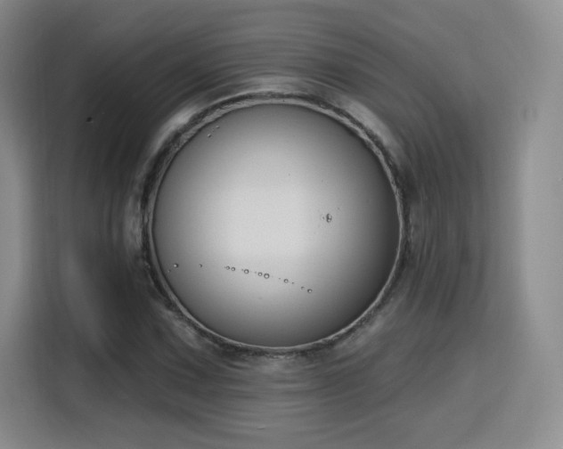 X0000116151067200911231327