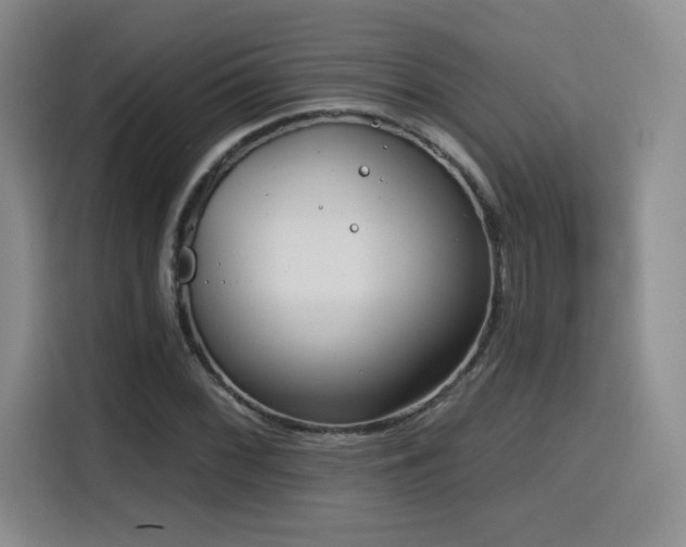 X0000116151068200911231327