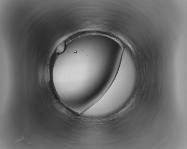 X0000116151069200911231326