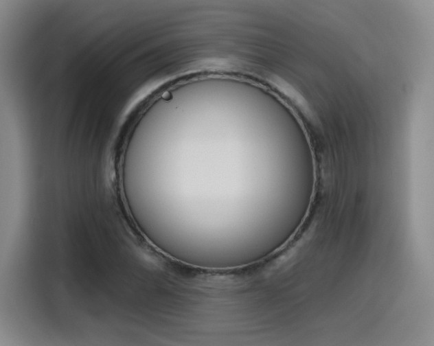 X0000116151070200911231326