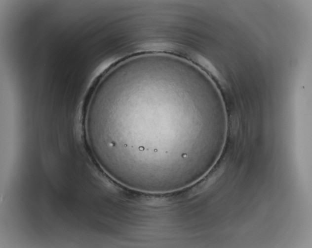 X0000116151071200911231326