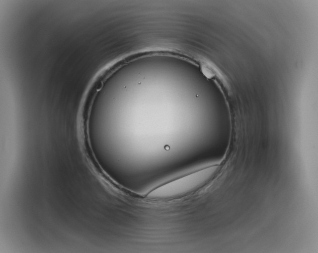 X0000116151072200911231326