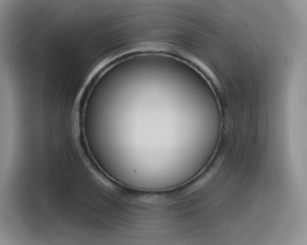 X0000116151075200911231326