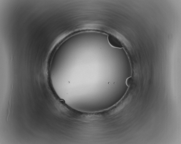 X0000116151077200911231326