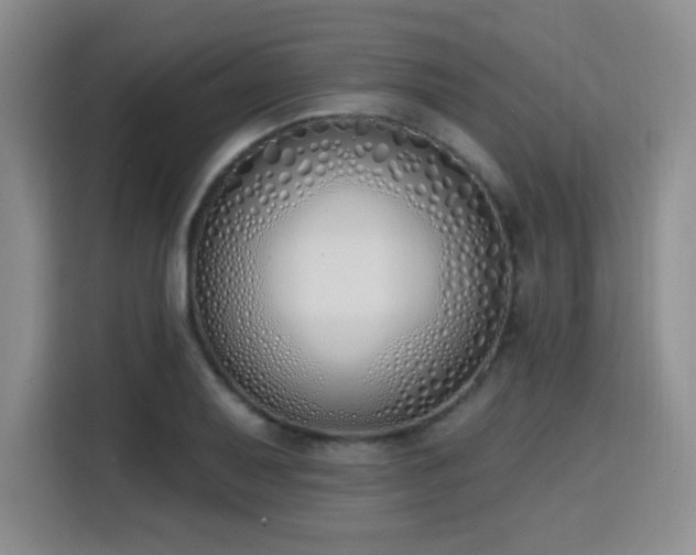 X0000116151079200911231326