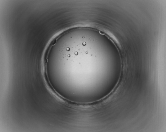 X0000116151080200911231326