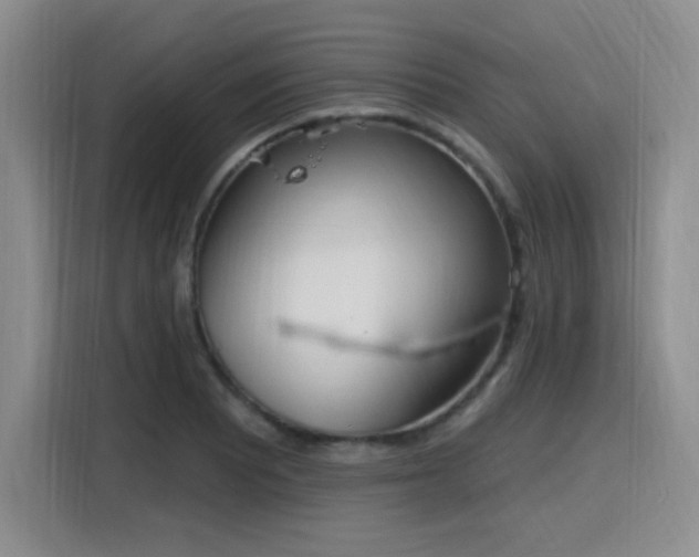 X0000116151081200911231326