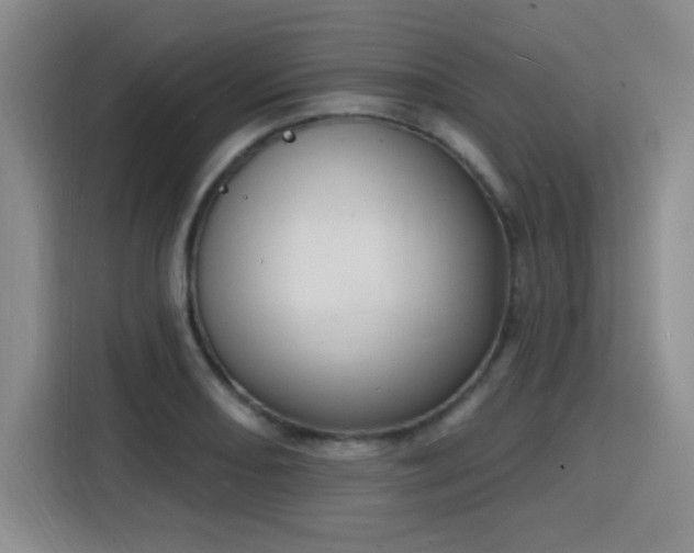 X0000116151082200911231326