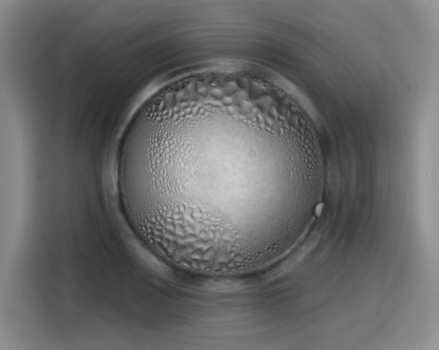 X0000116151083200911231326