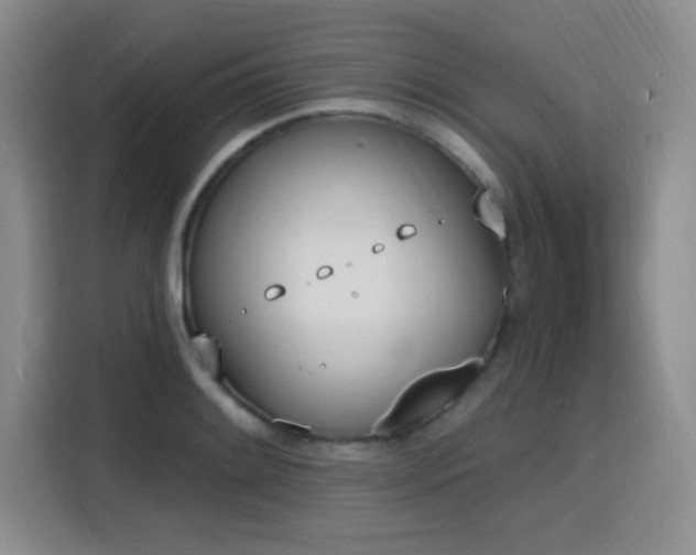 X0000116151084200911231326