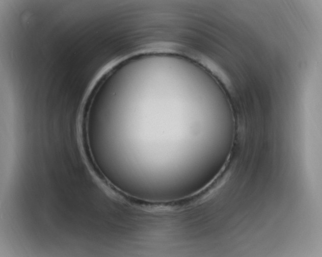 X0000116151085200911231326