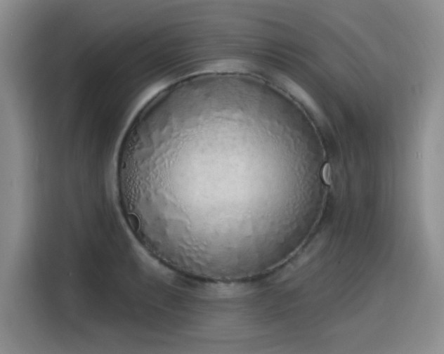 X0000116151087200911231326