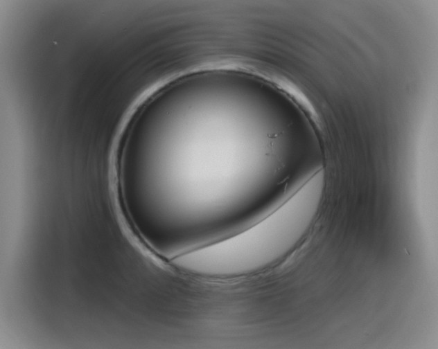 X0000116151088200911231326