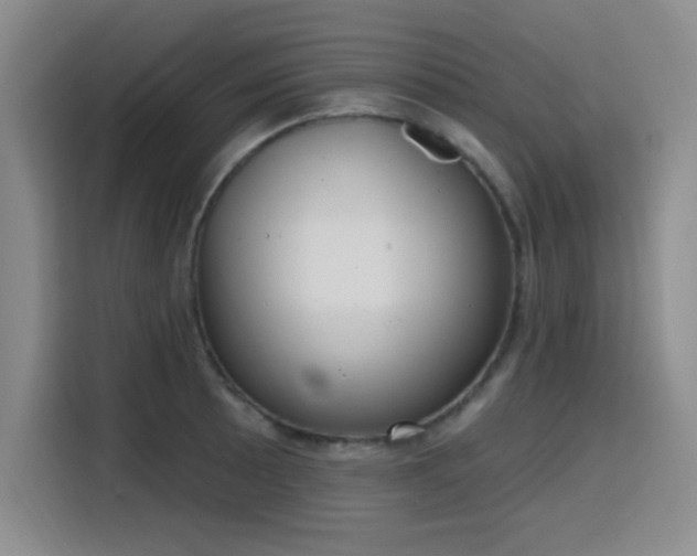 X0000116151089200911231326