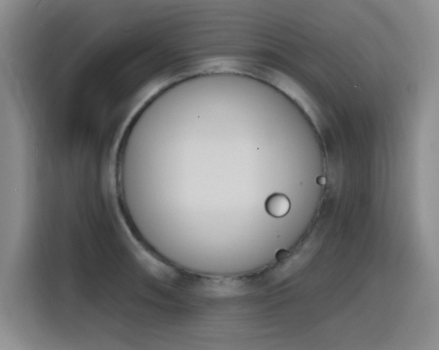 X0000116151090200911231326