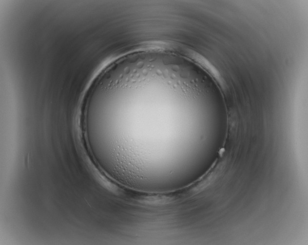 X0000116151091200911231326