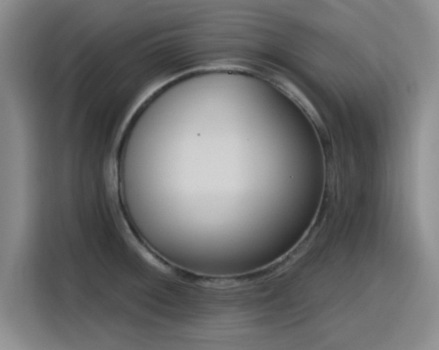 X0000116151092200911231326