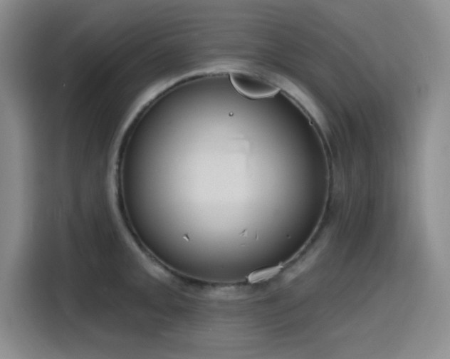 X0000116151093200911231326