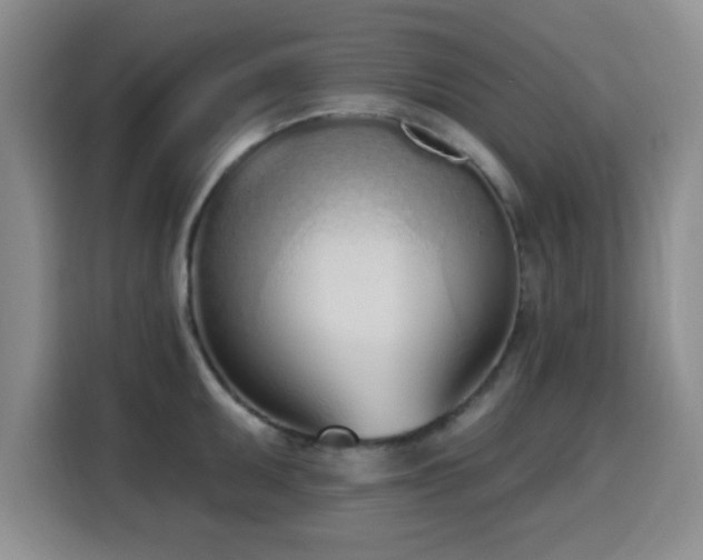 X0000116151095200911231326