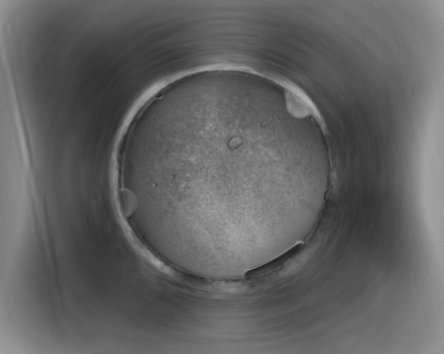 X0000116151096200911231326