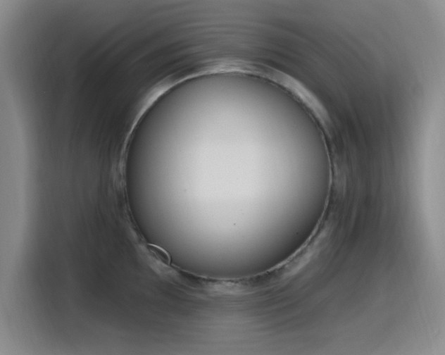 X0000116151097200911231326