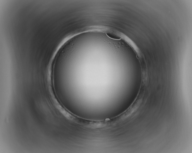 X0000116151099200911231326