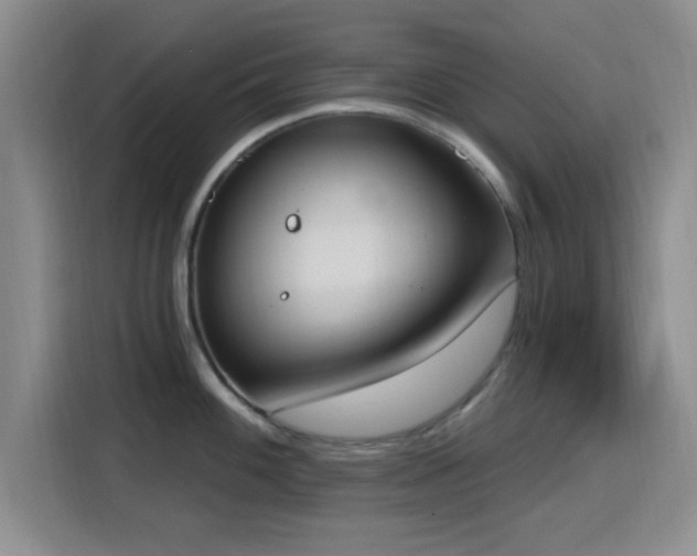 X0000116151100200911231326