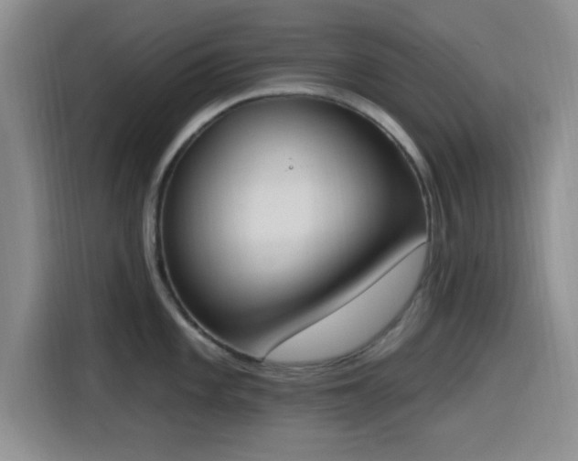 X0000116151101200911231326