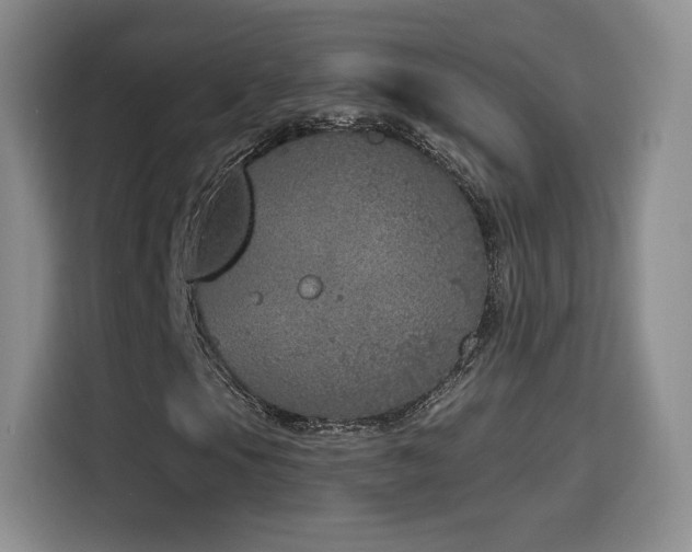 X0000116151105200911231325