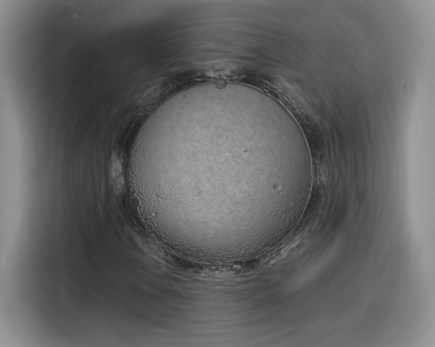 X0000116151106200911231325