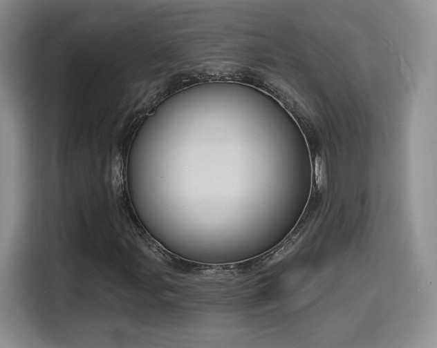 X0000116151107200911231325