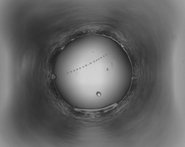 X0000116151109200911231325