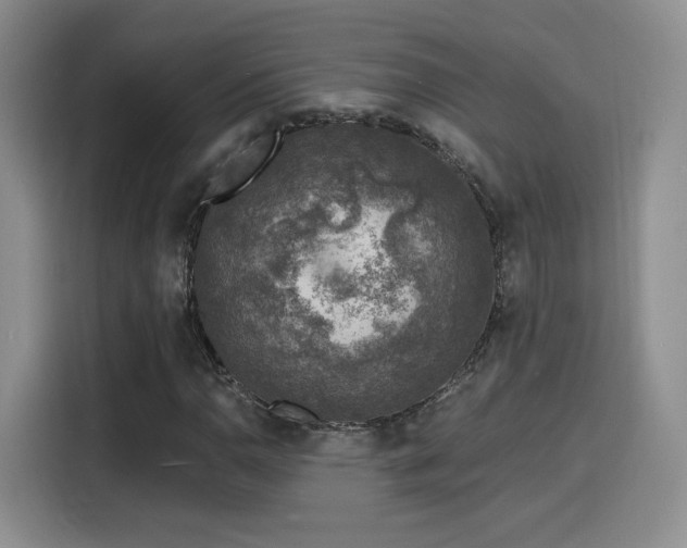 X0000116151110200911231325