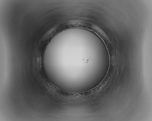 X0000116151111200911231325